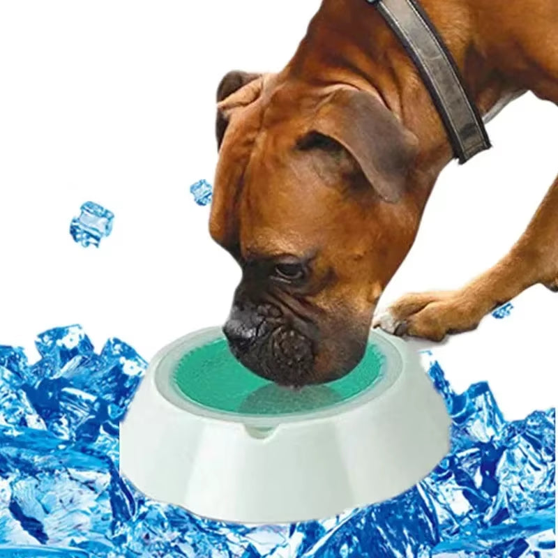 Summer Pet Cold Water Bowl the Cool Bowl Can Keep the Water of Dogs and Cats Cool and Fresh for Several Hours to 8 Hours