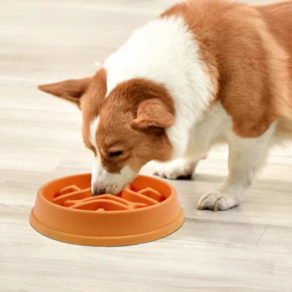 Pet Slow Feeder Bowl Pet Bowls Feeders Maze Puzzle Design Anti-Choke Non-Slip Pet Feeding Bowl Eco-Friendly Food Grade PP Cat