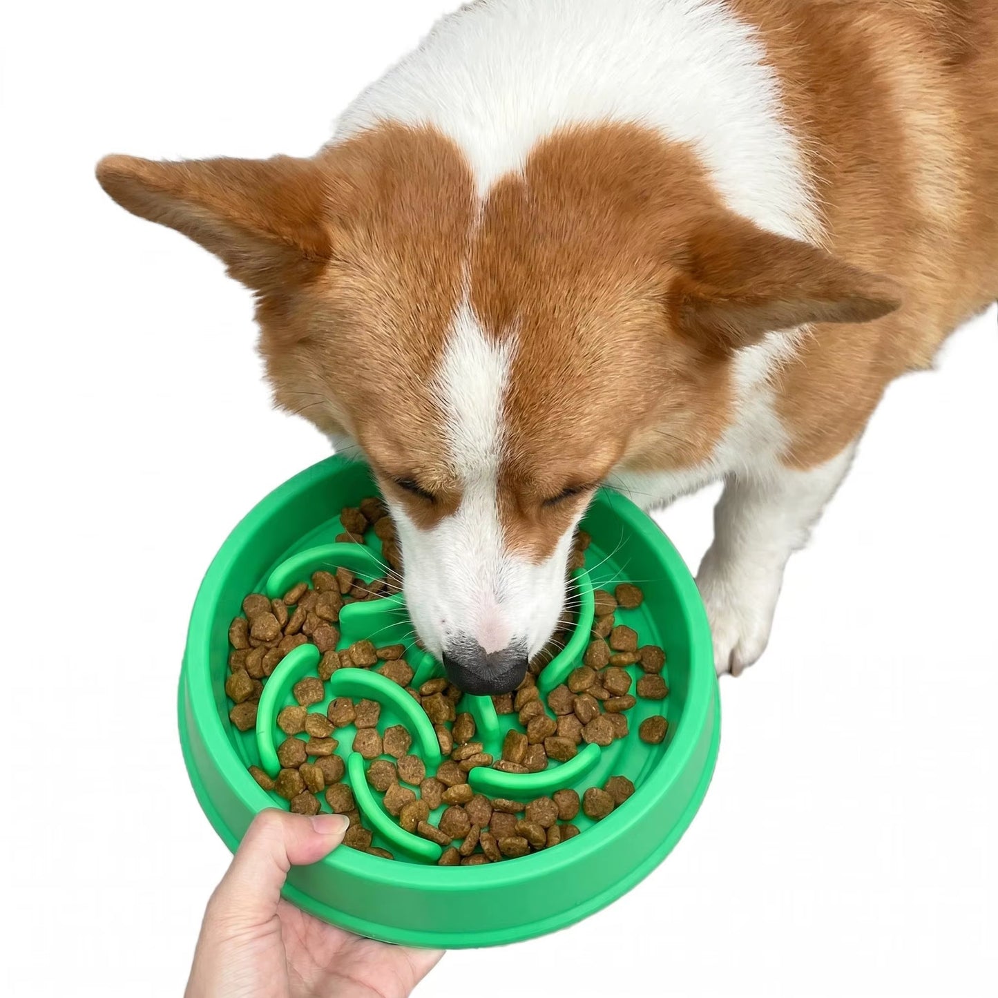 Pet Slow Feeder Bowl Pet Bowls Feeders Maze Puzzle Design Anti-Choke Non-Slip Pet Feeding Bowl Eco-Friendly Food Grade PP Cat